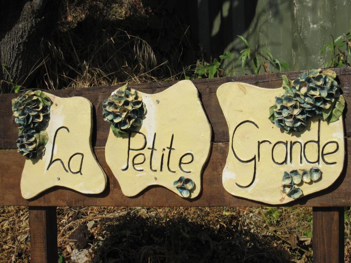 La Petite Grande Apartment